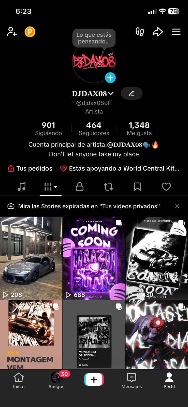 TikTok · Artista preview
